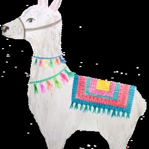 Meet your Posher, Annie misty